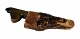 Multibladed Phleam