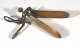 Speculum, Cuscos