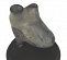 Votive