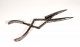 Bladder Dilator