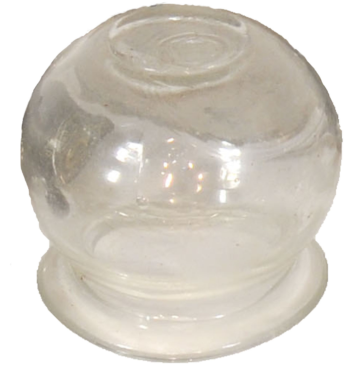 Magnified image for image #1