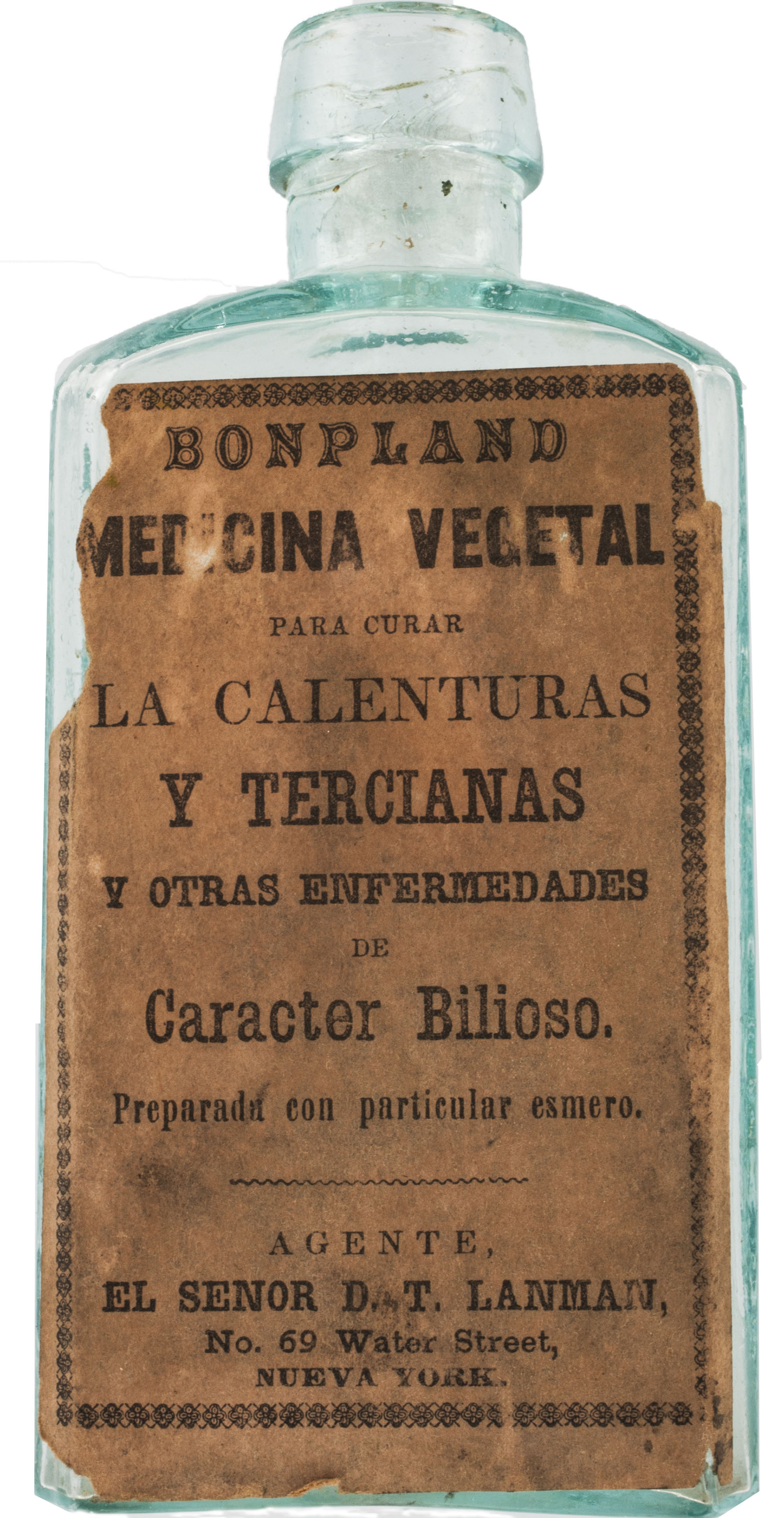 Magnified image for image #1