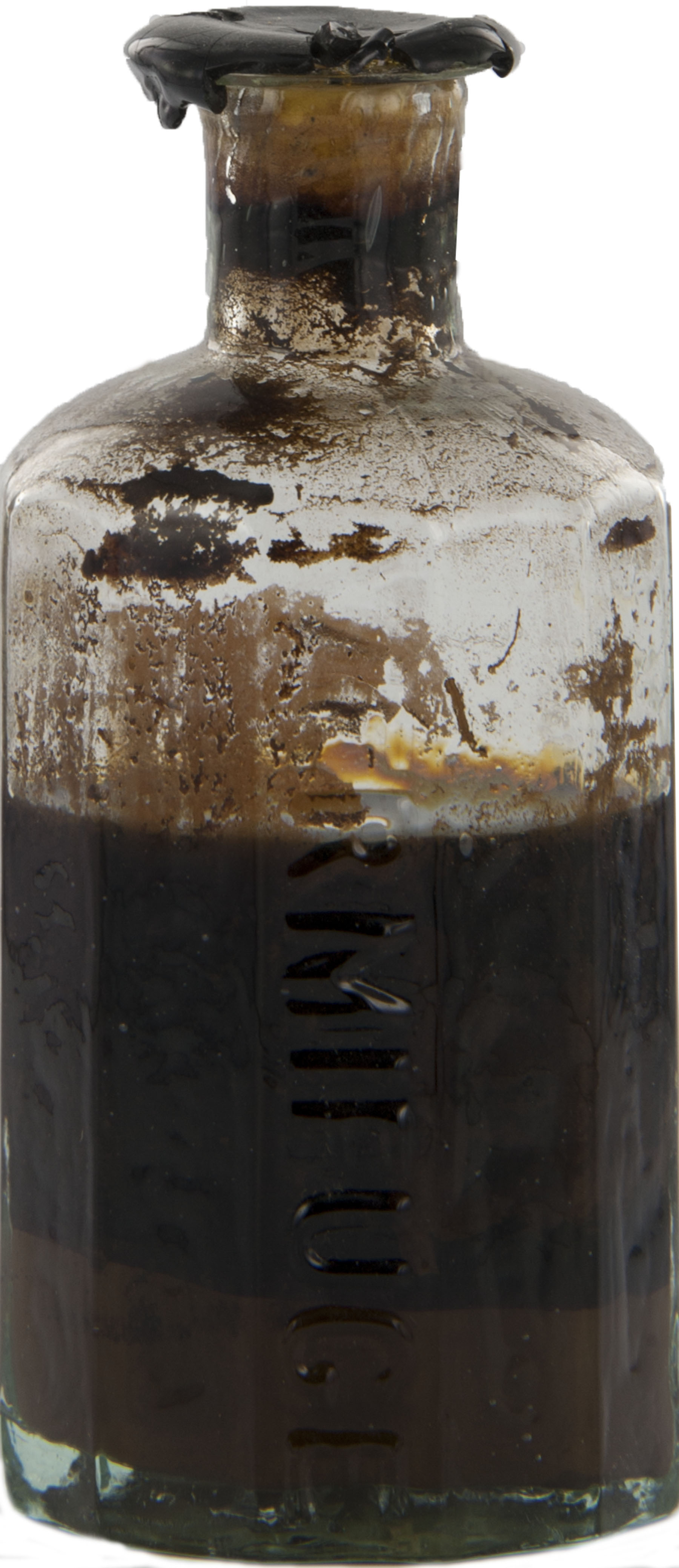 Magnified image for image #1