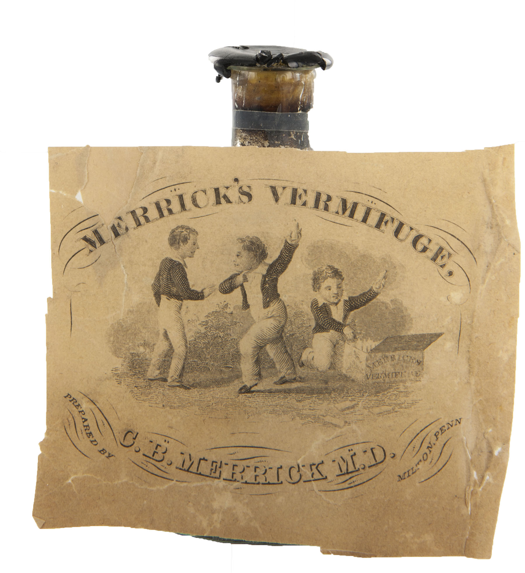 Magnified image for image #2