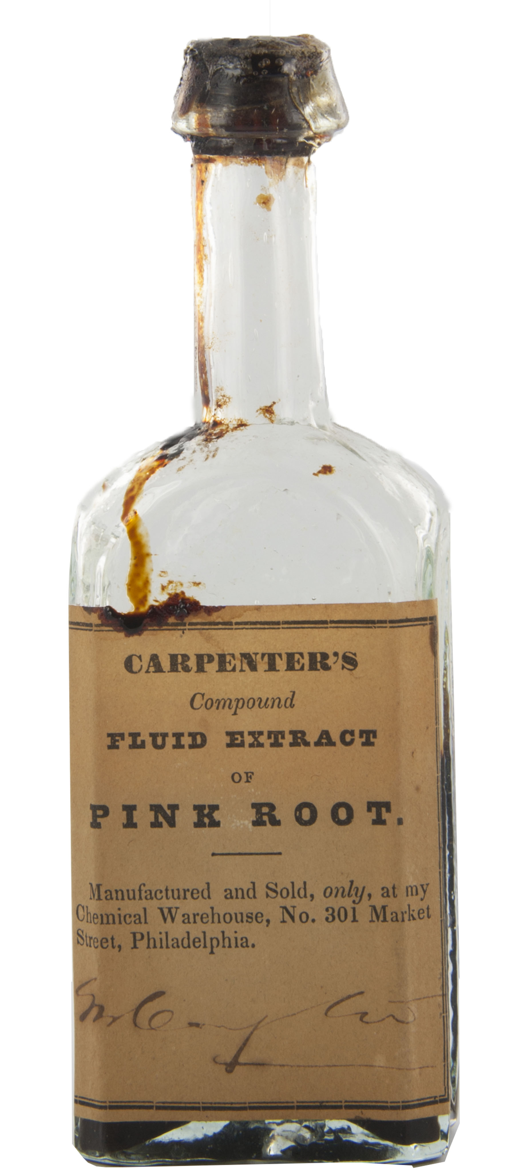 Magnified image for image #1