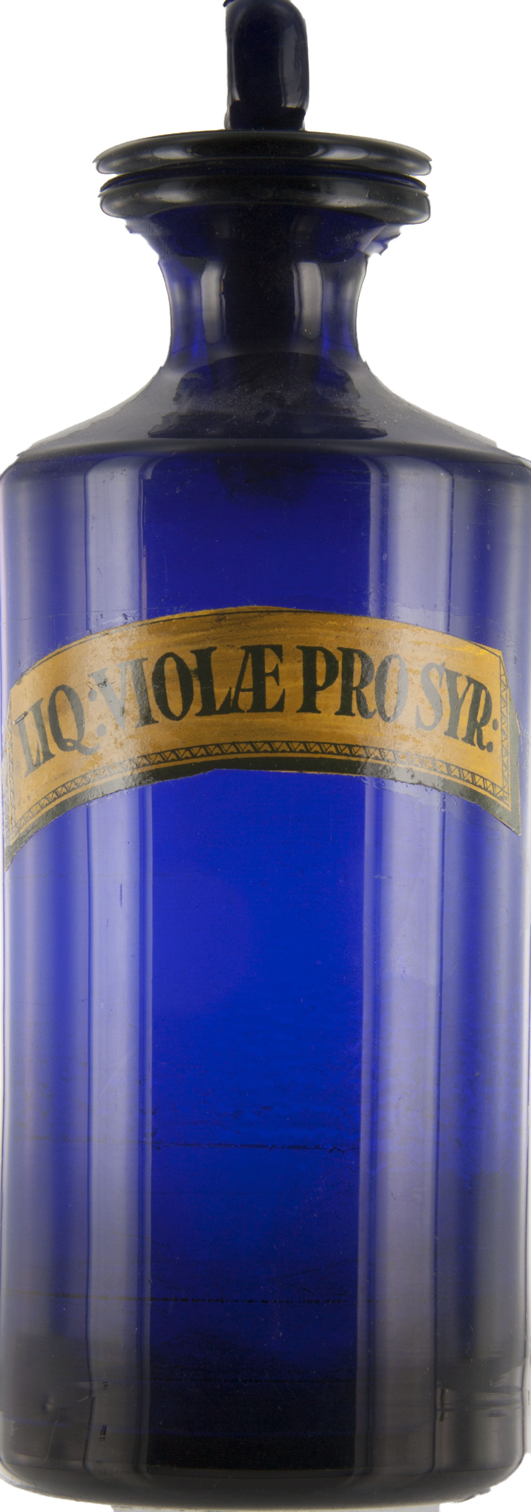 Magnified image for image #1