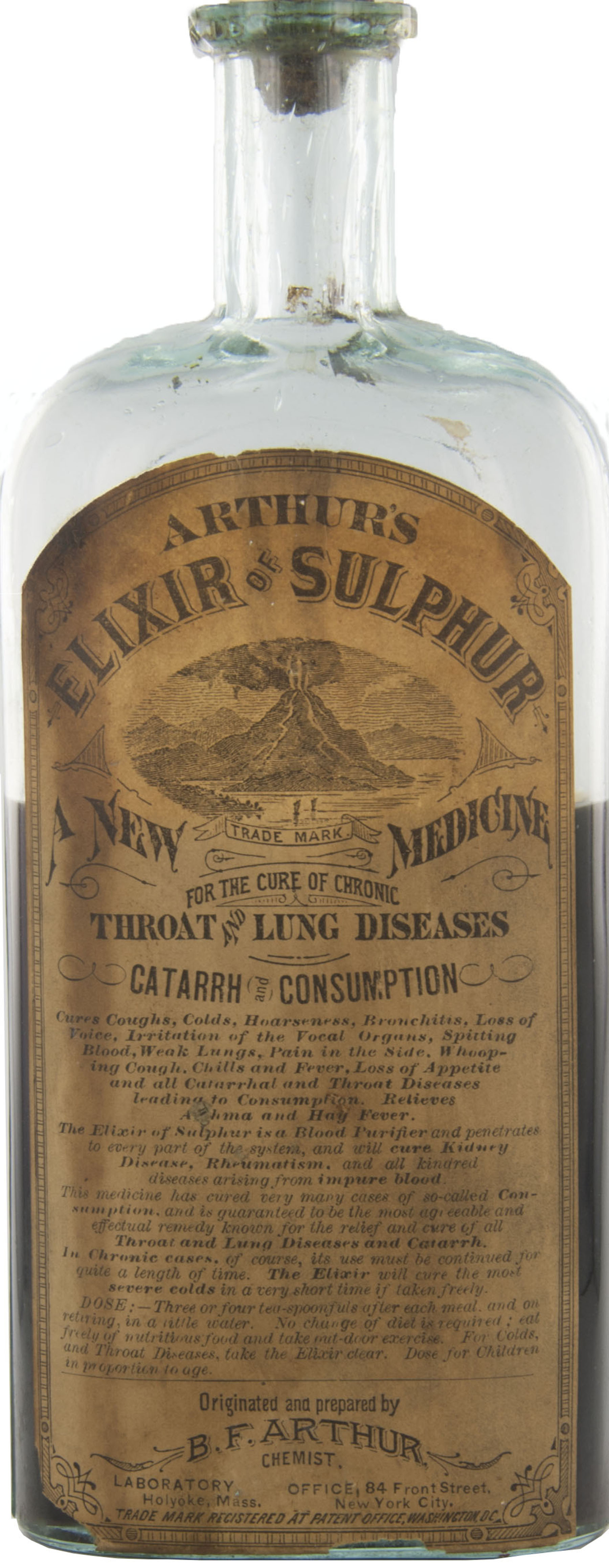 Magnified image for image #1