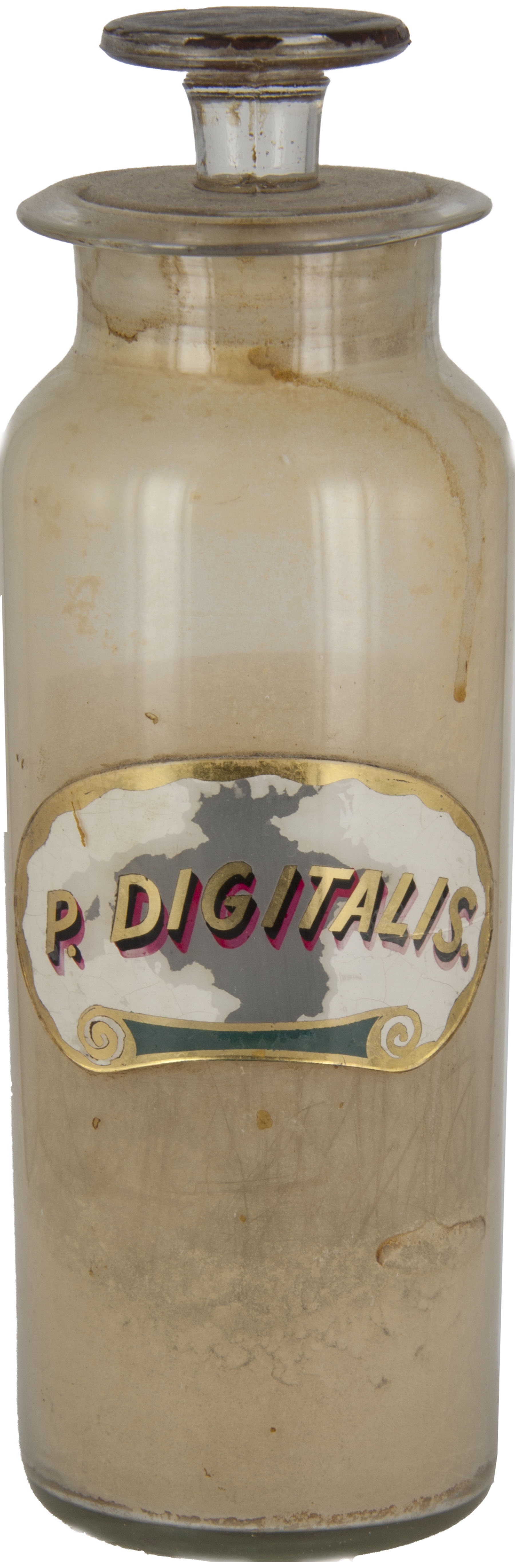 Magnified image for image #1