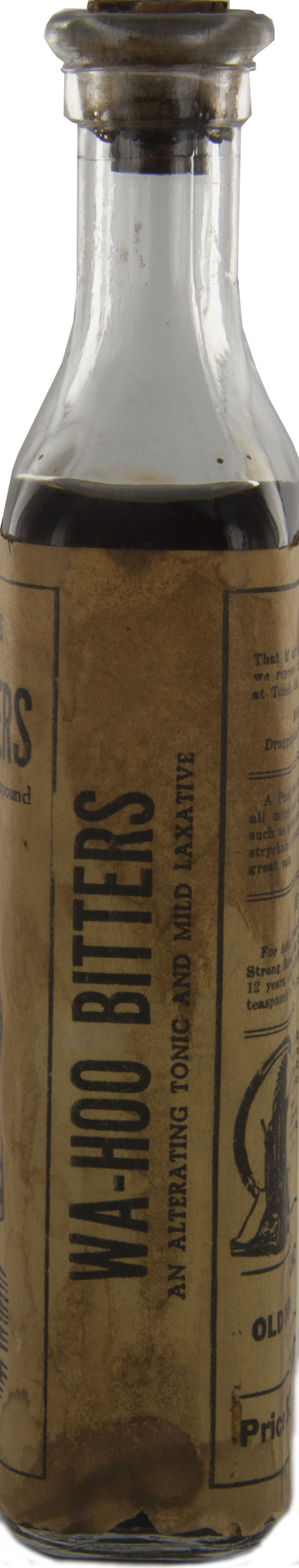 Magnified image for image #2