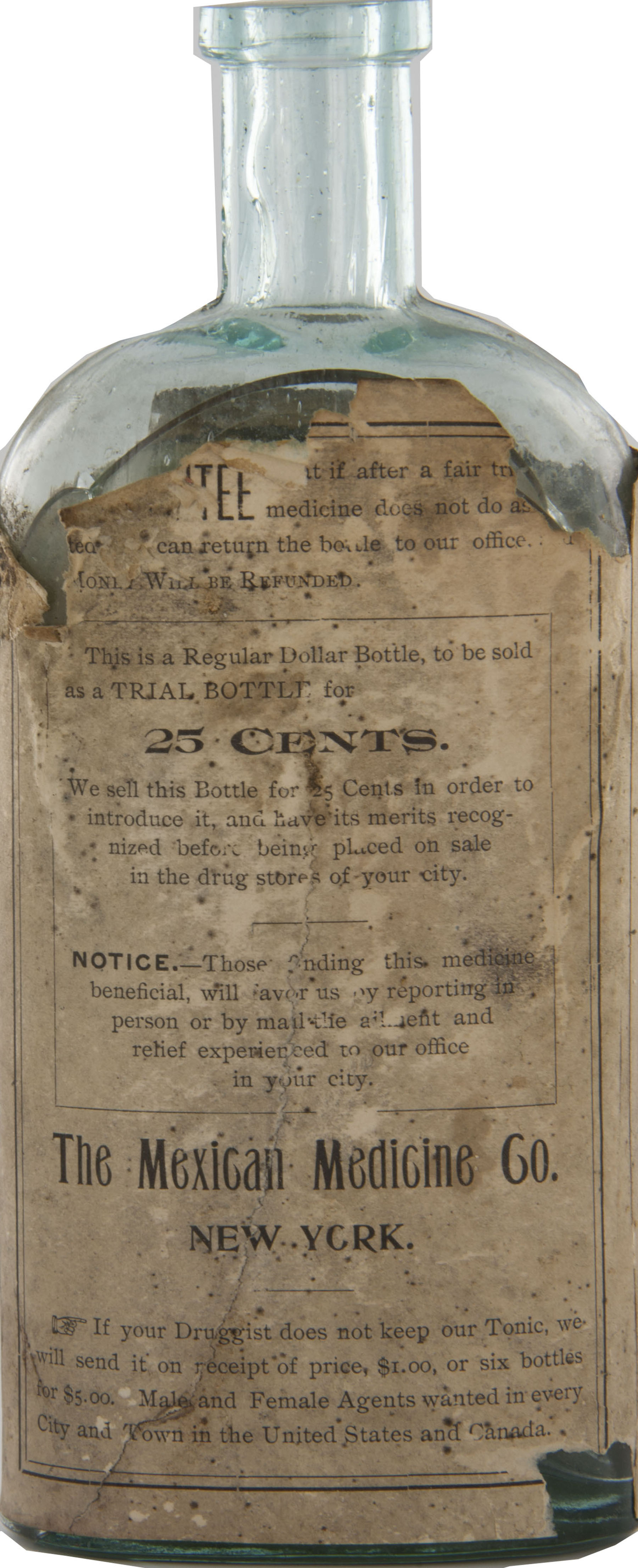 Magnified image for image #2