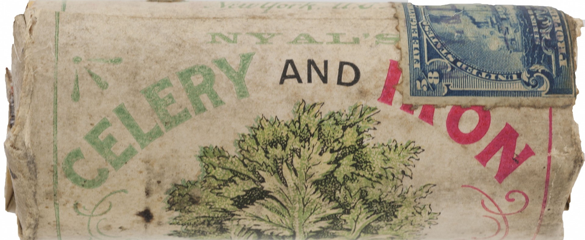 Magnified image for image #8