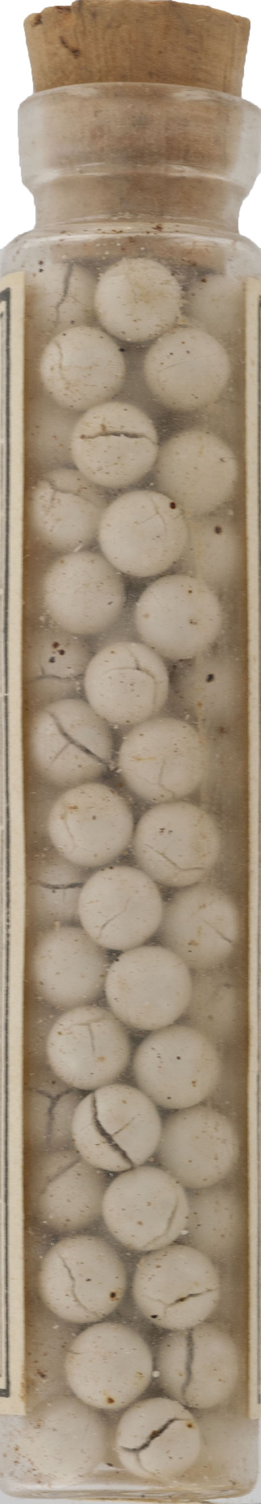 Magnified image for image #3