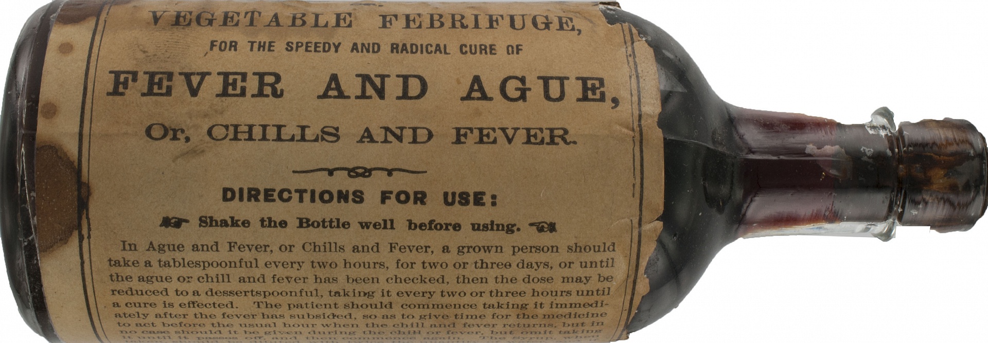 Magnified image for image #2