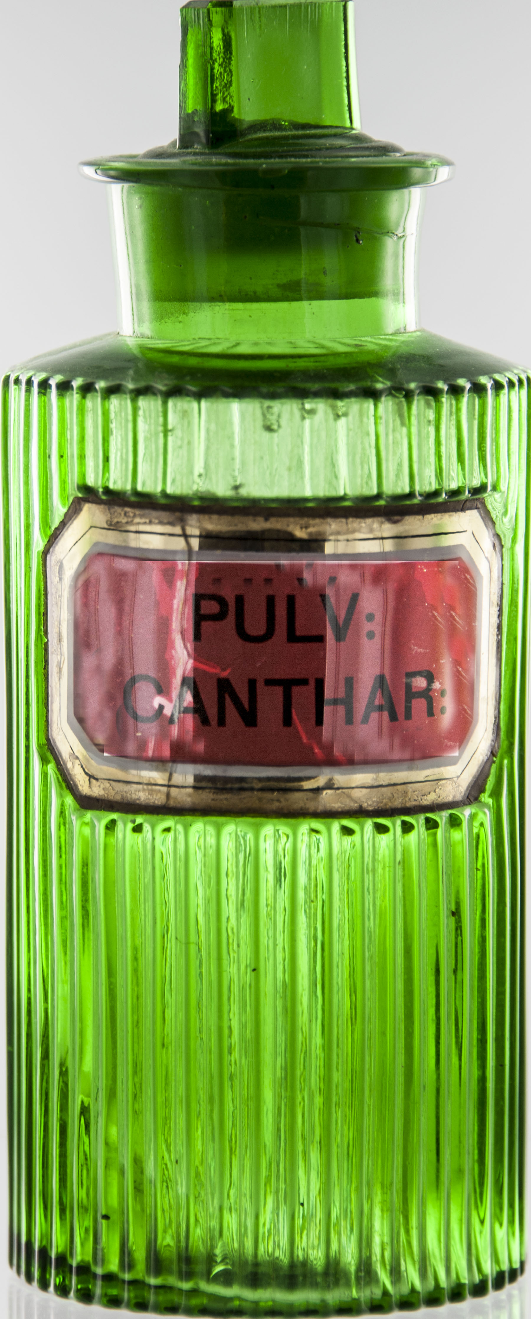 Magnified image for image #3