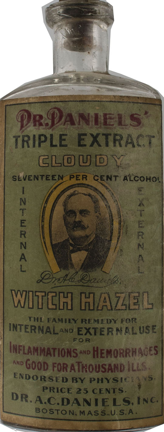 Magnified image for image #1