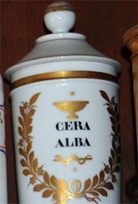 Magnified image for image #1