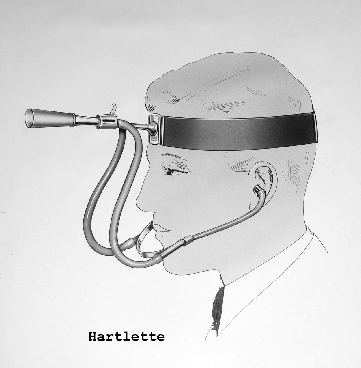 Magnified image for image #1