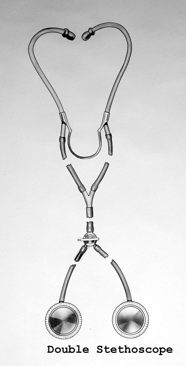 Magnified image for image #1