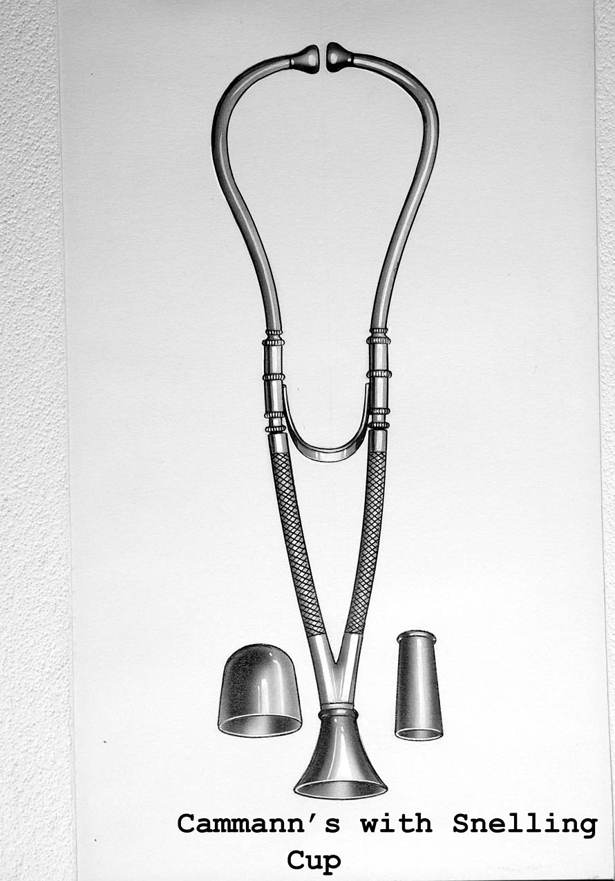 Magnified image for image #1