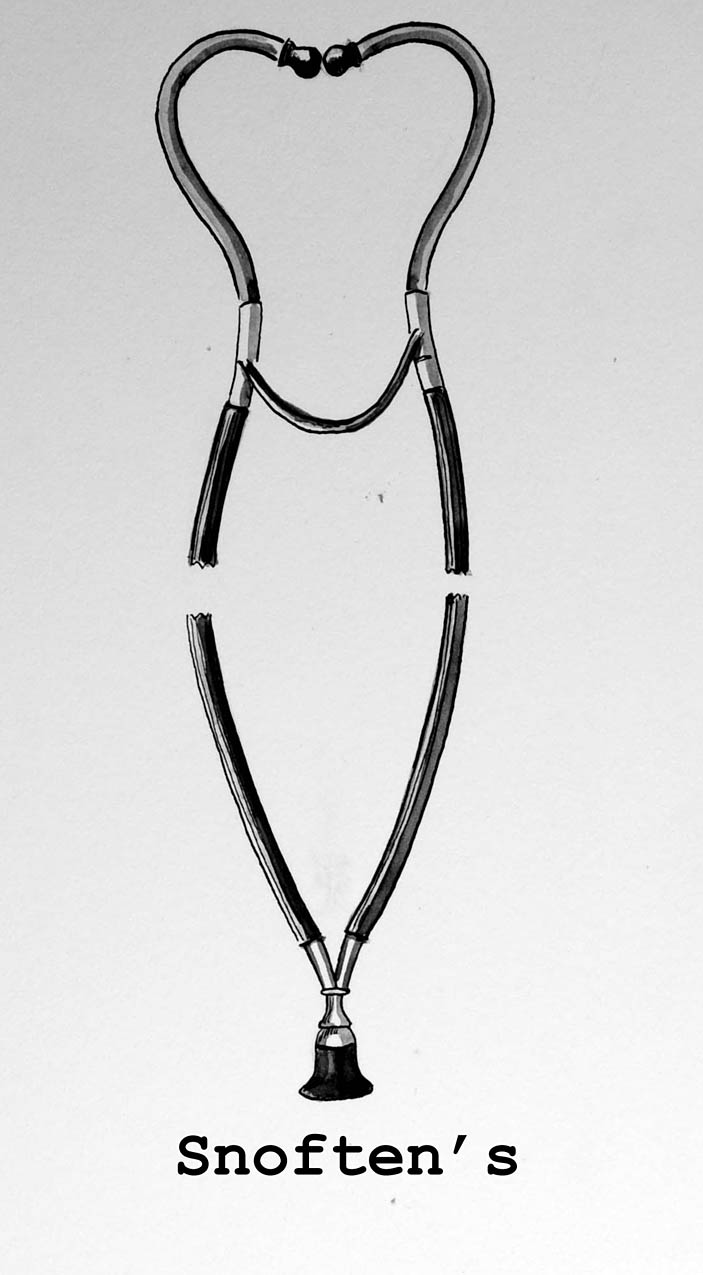 Magnified image for image #1