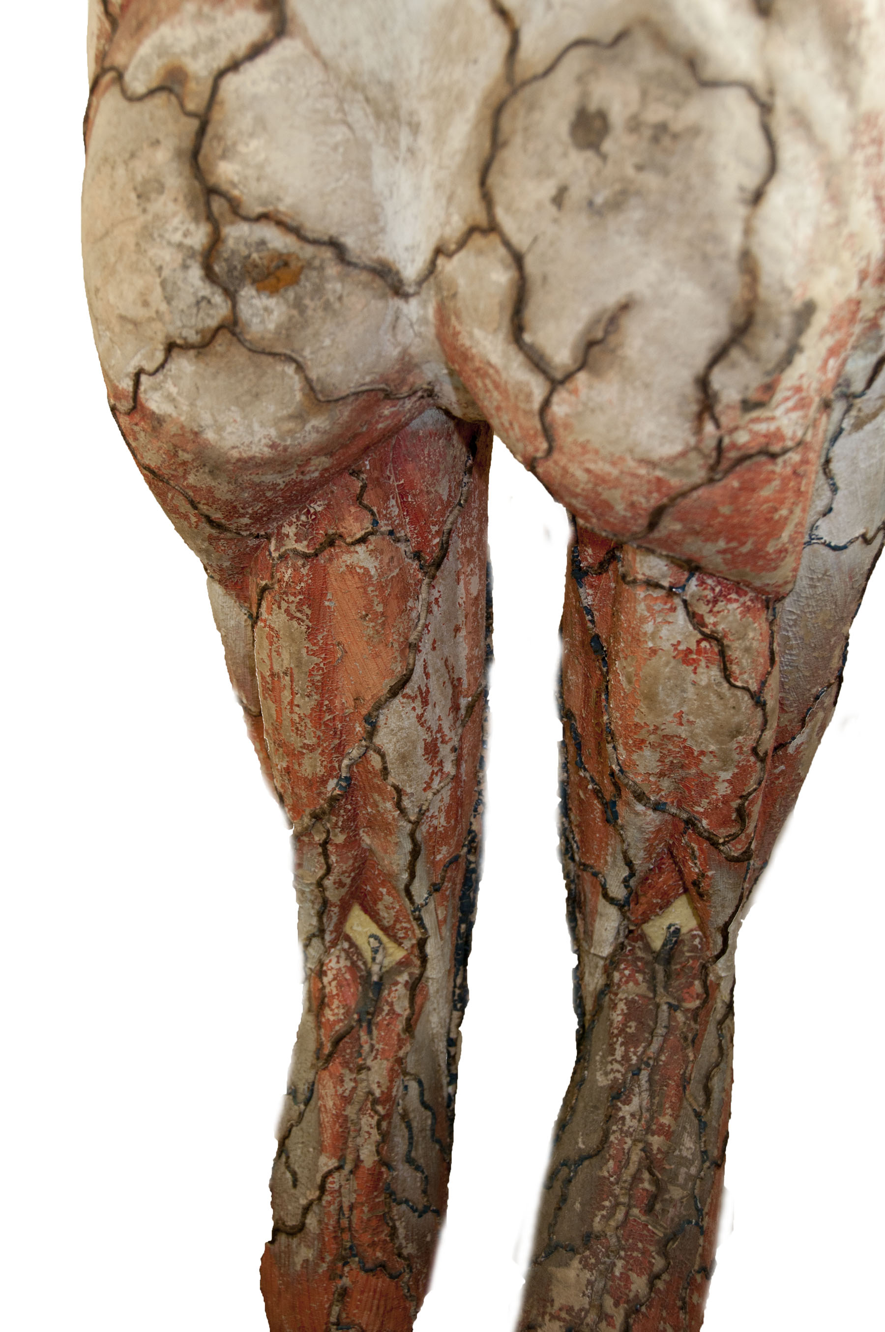 Magnified image for image #14