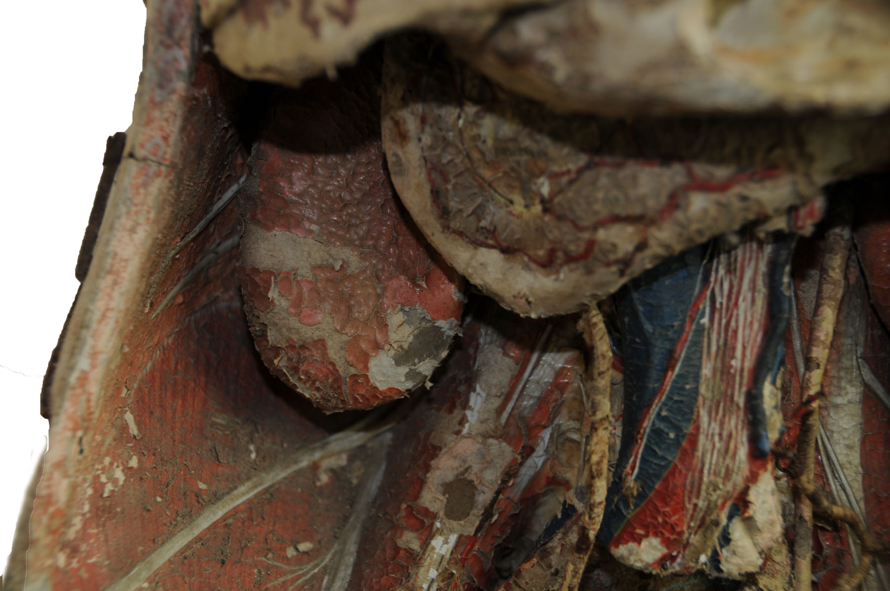 Magnified image for image #7