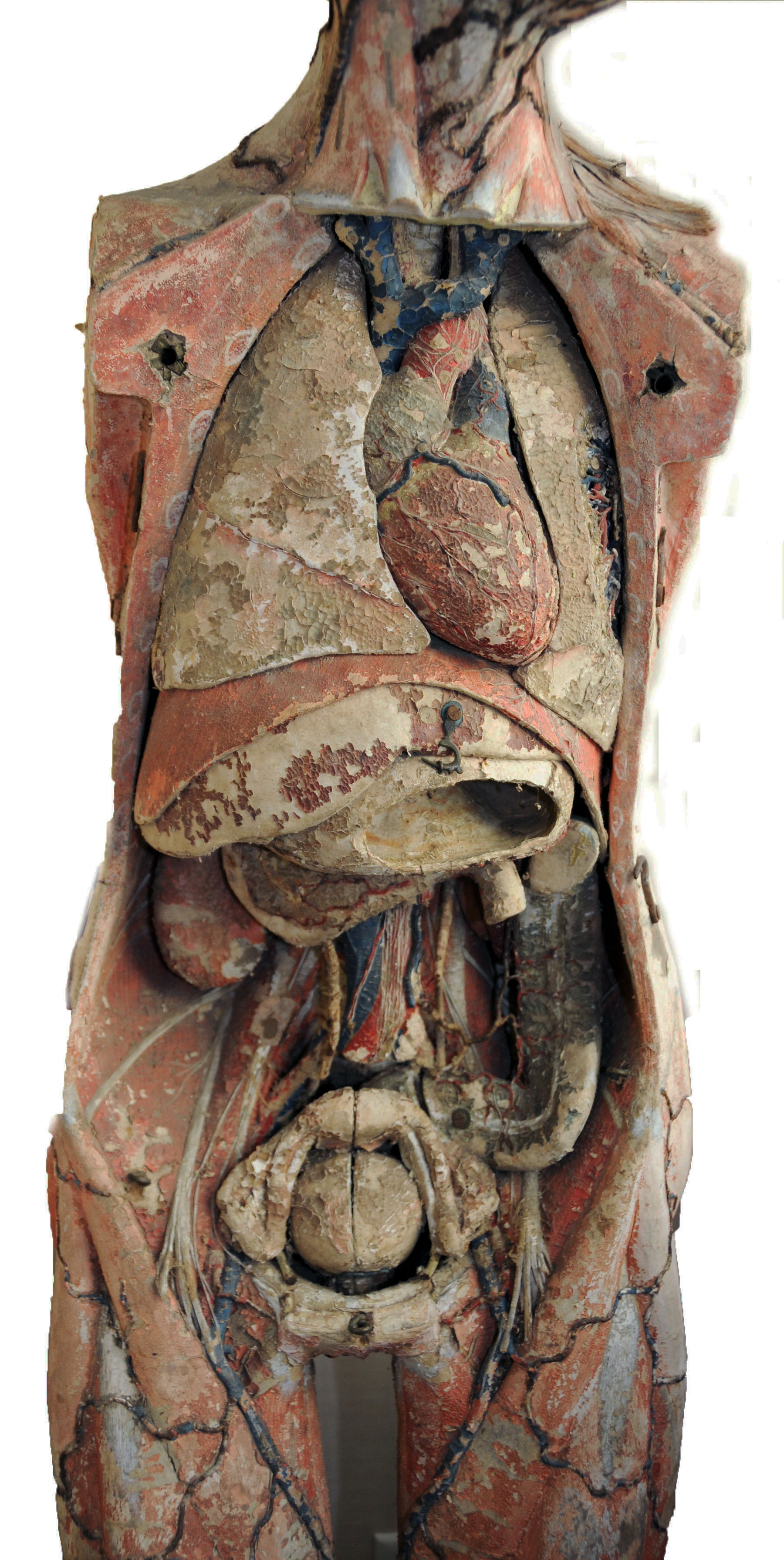 Magnified image for image #12