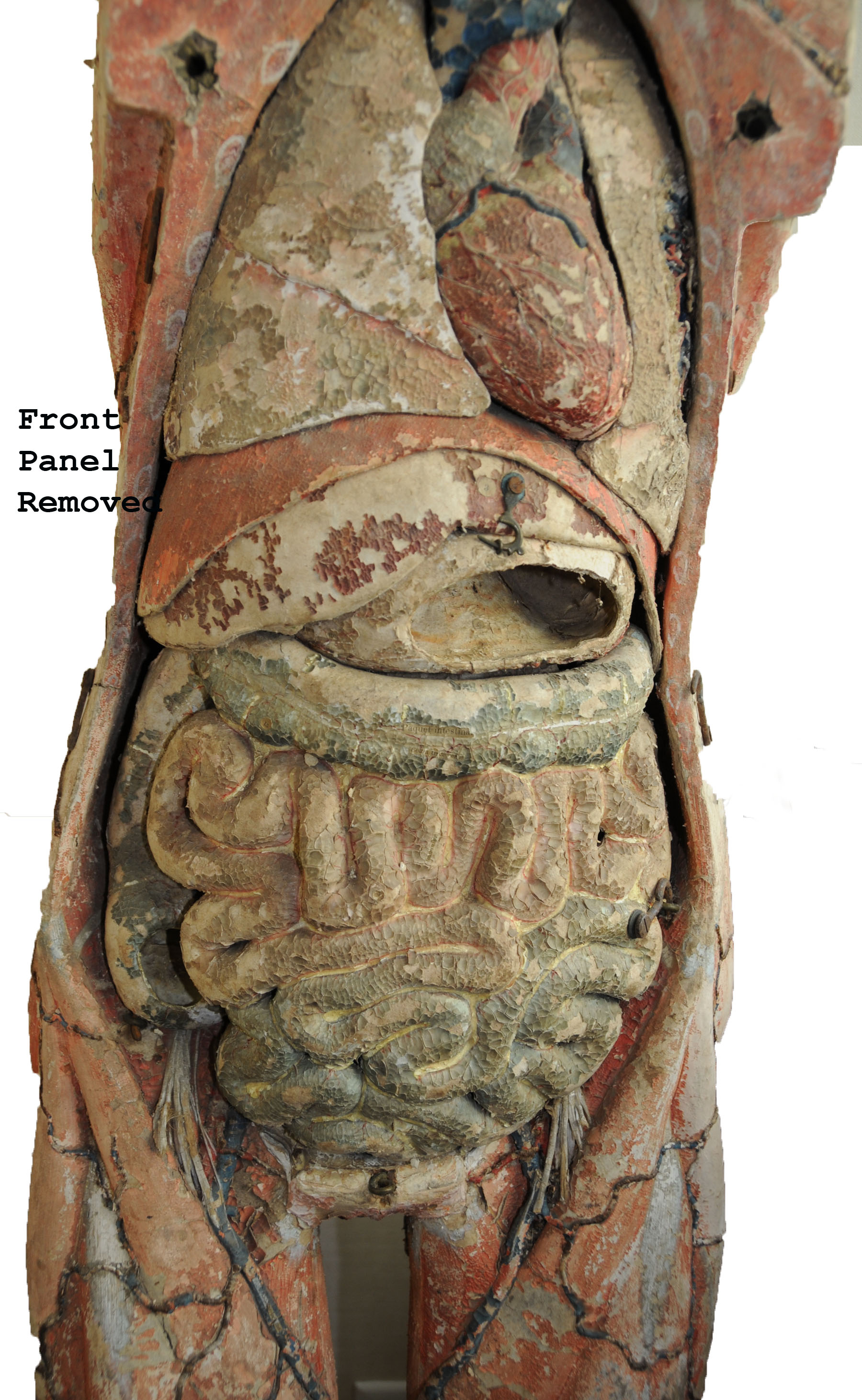 Magnified image for image #6