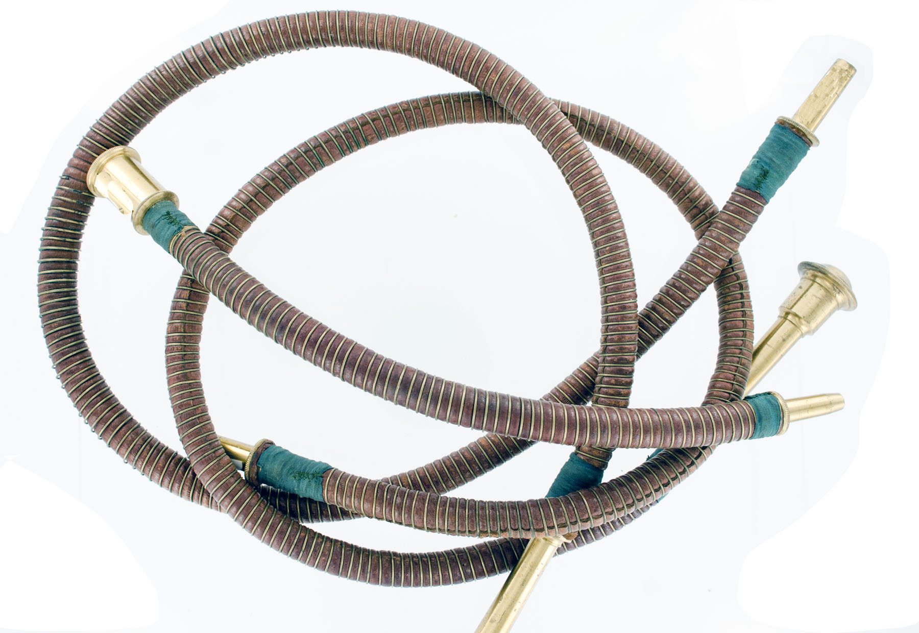 Magnified image for image #10