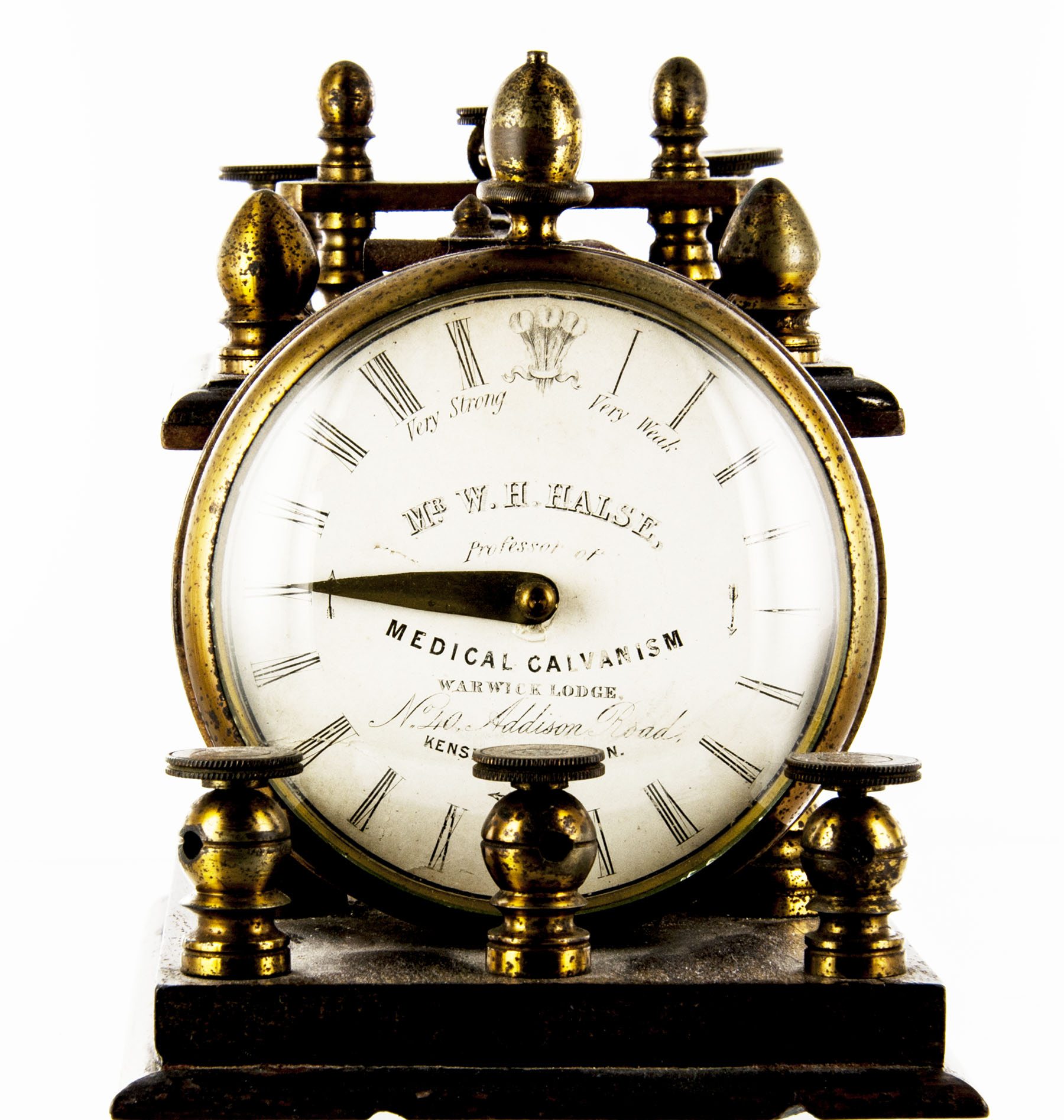 Magnified image for image #1