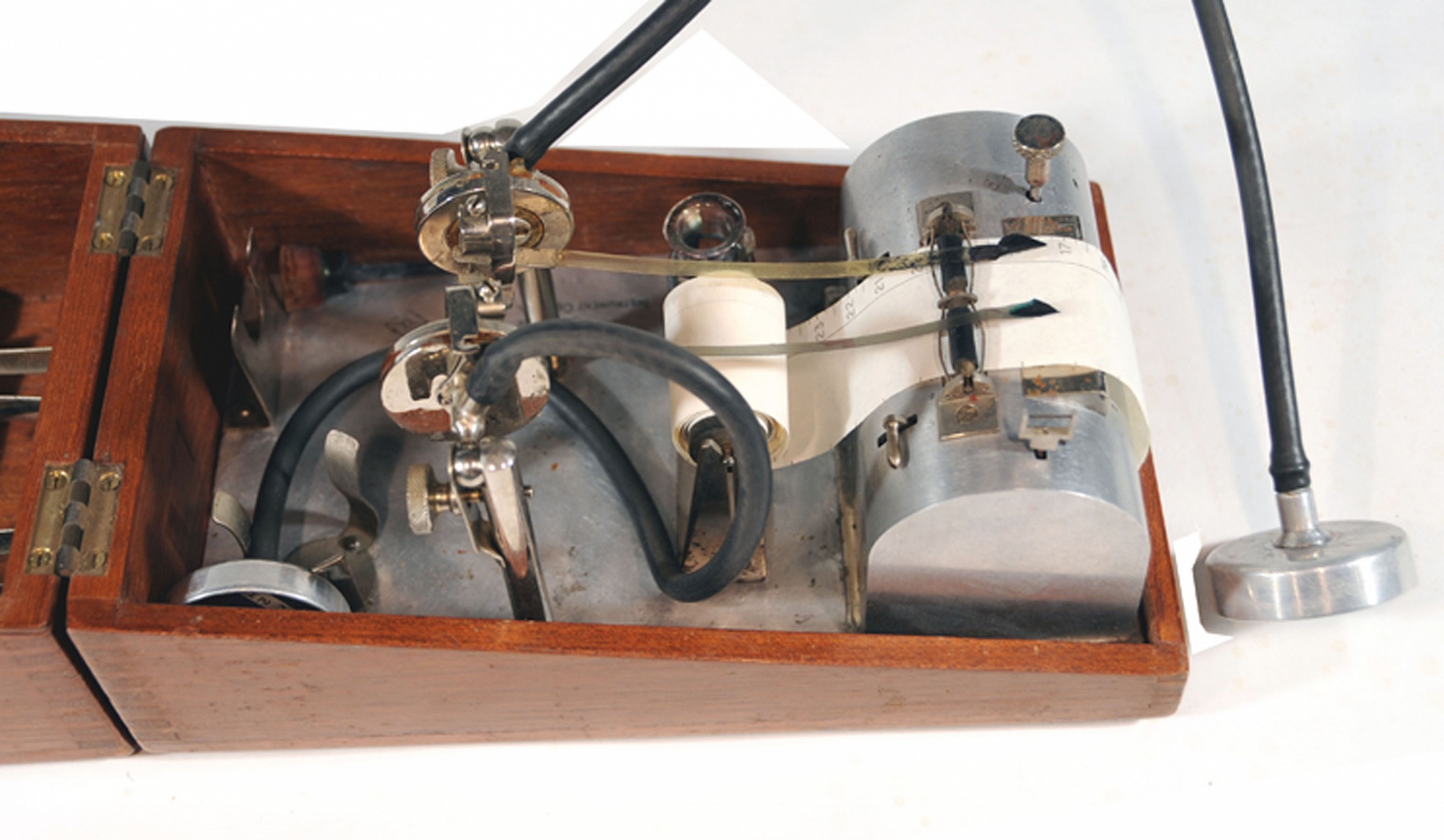 Magnified image for image #3