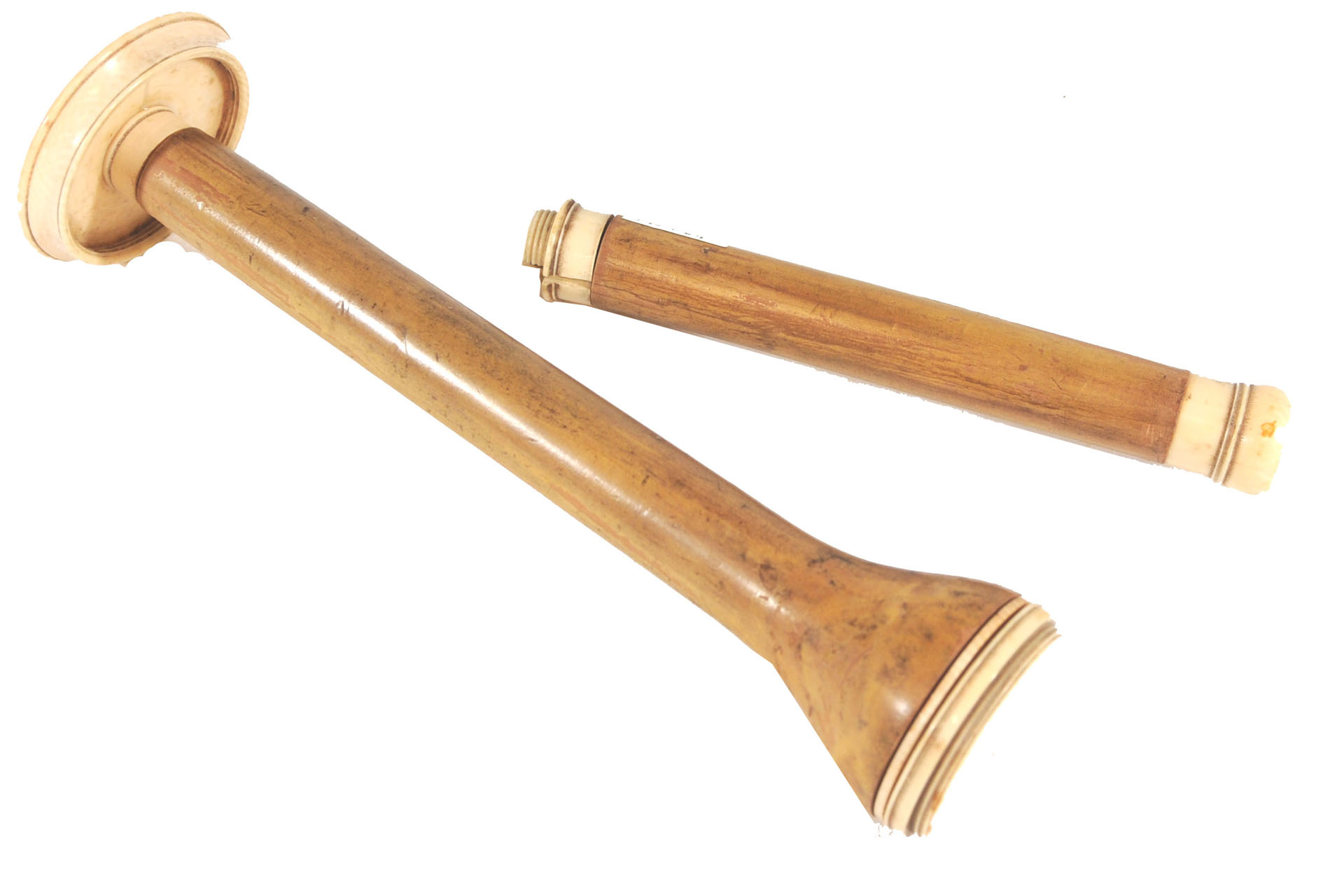 Magnified image for image #2