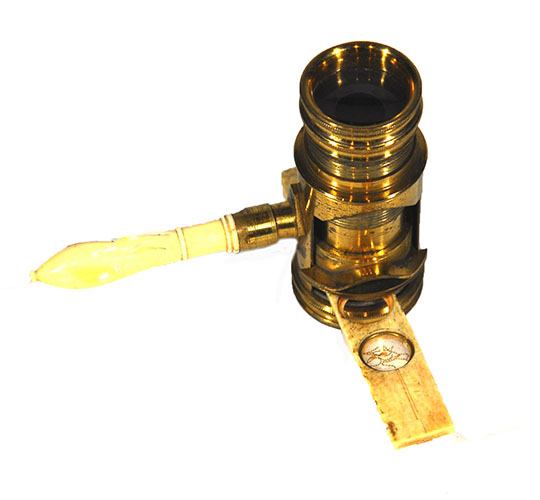 Magnified image for image #2