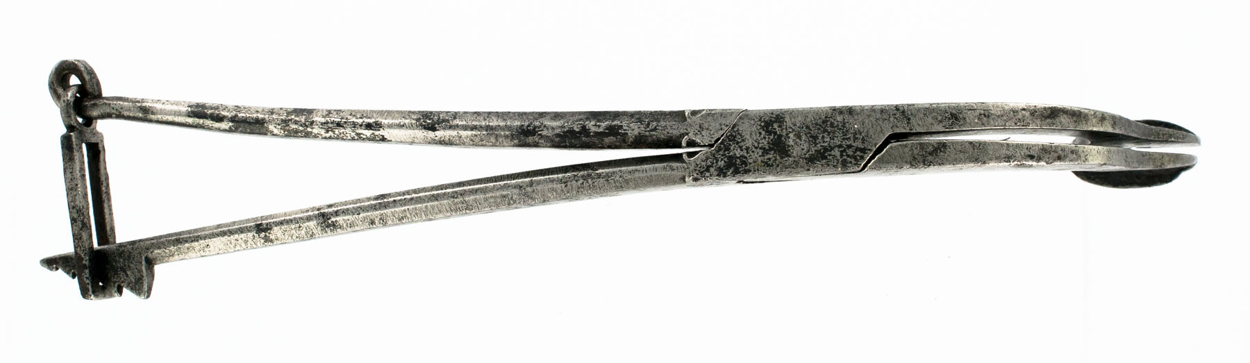 Magnified image for image #4