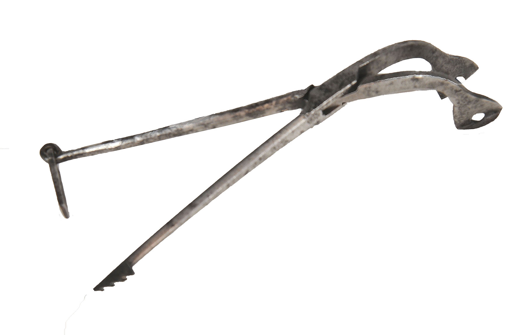 Magnified image for image #1