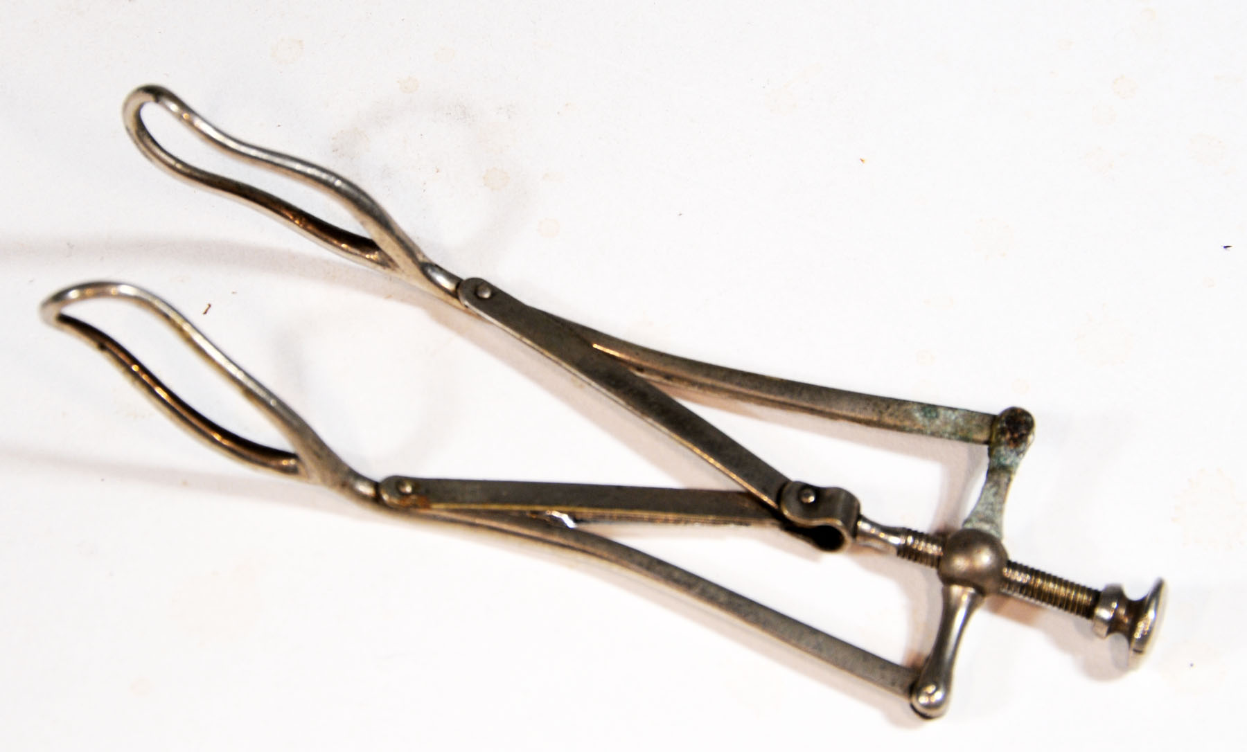 Magnified image for image #1