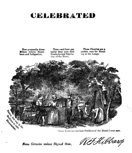 Magnified image for image #2