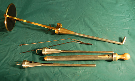 Magnified image for image #8