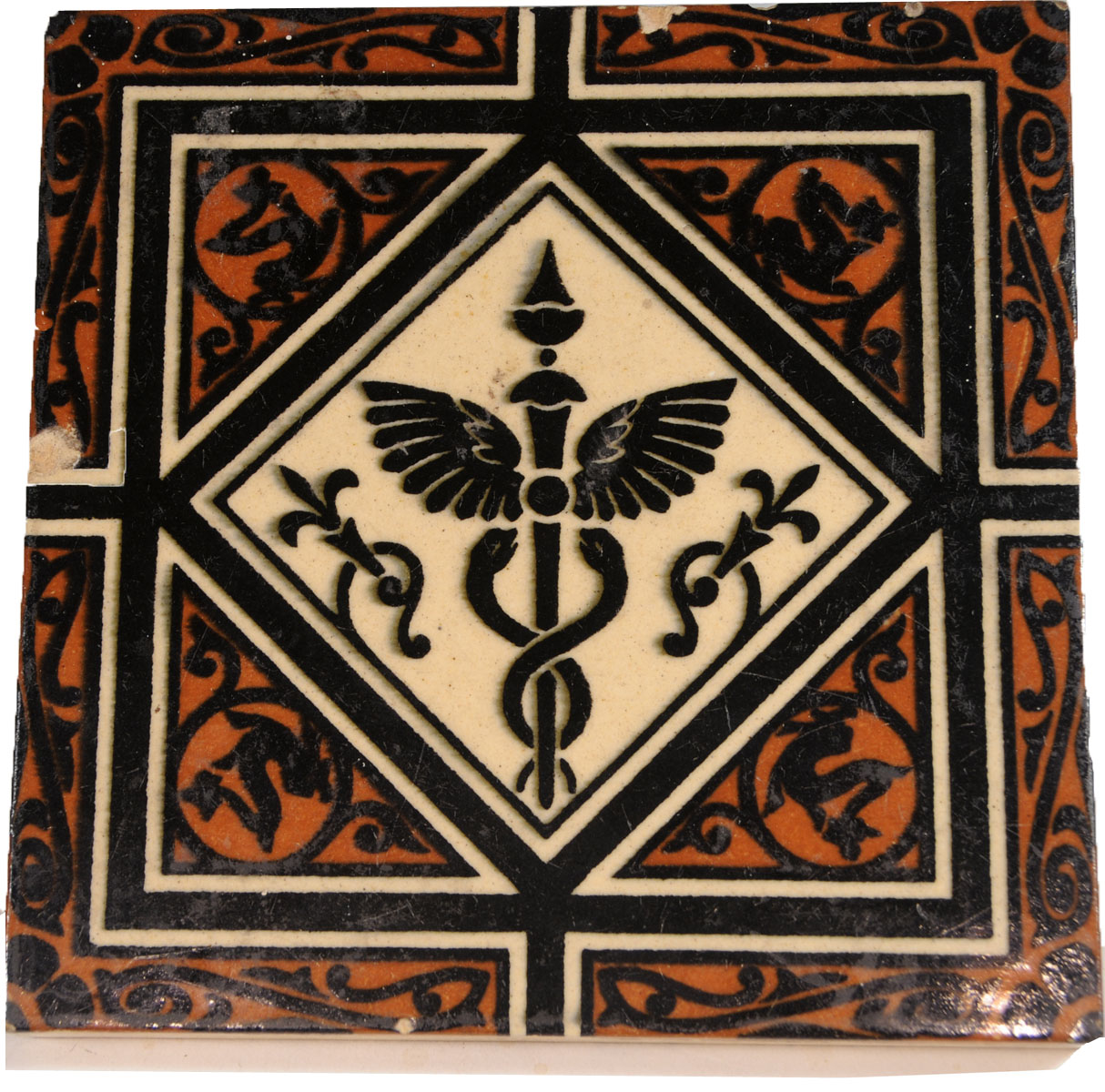 Magnified image for image #1