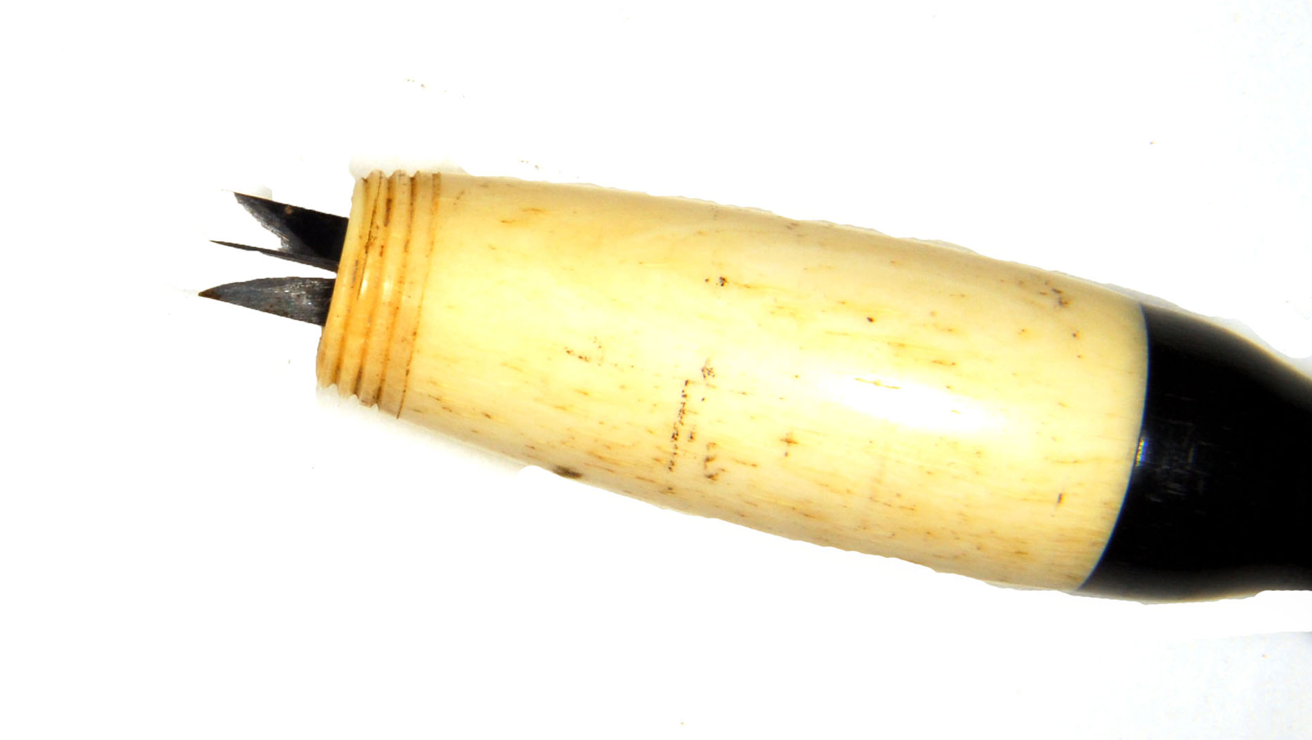 Magnified image for image #2