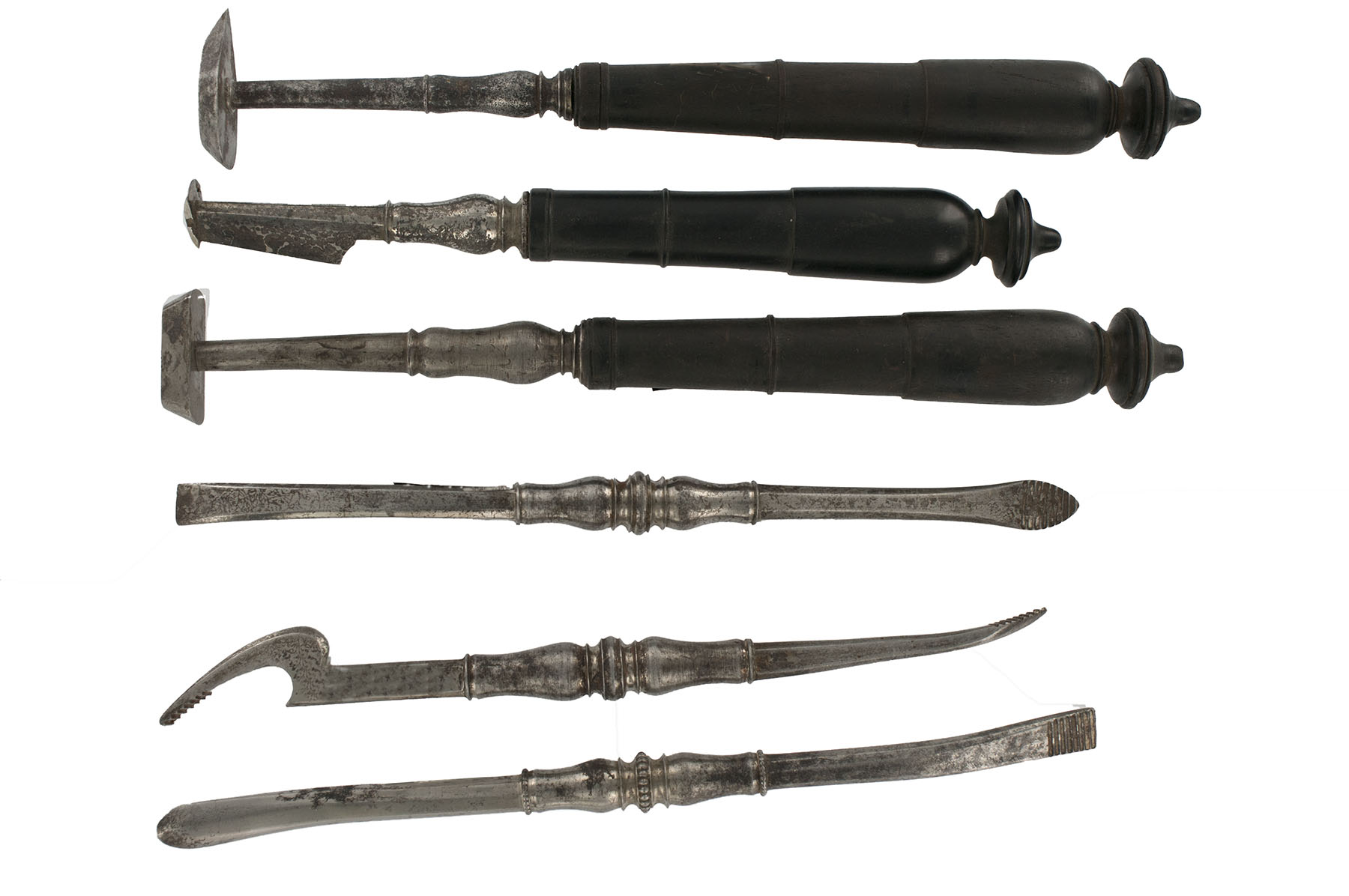 Magnified image for image #6