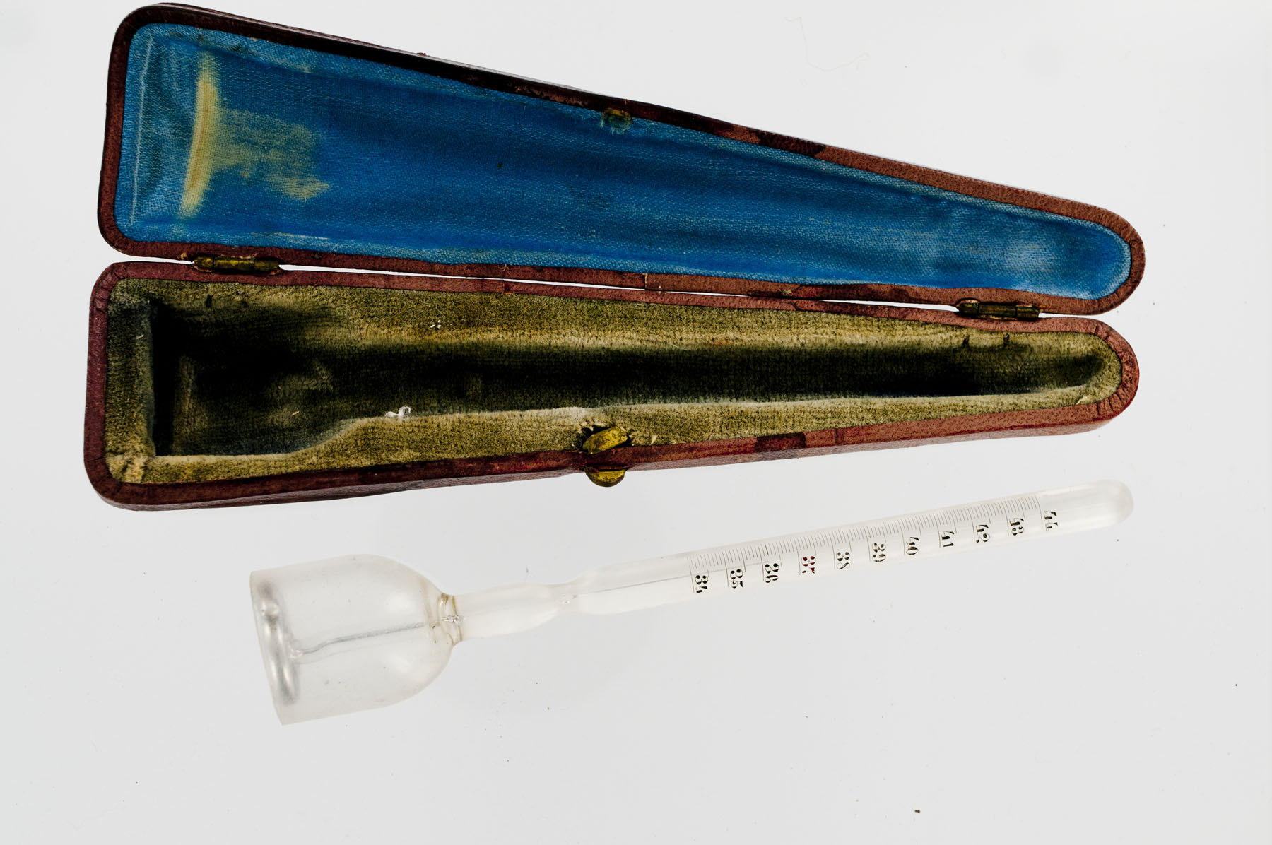 Magnified image for image #3