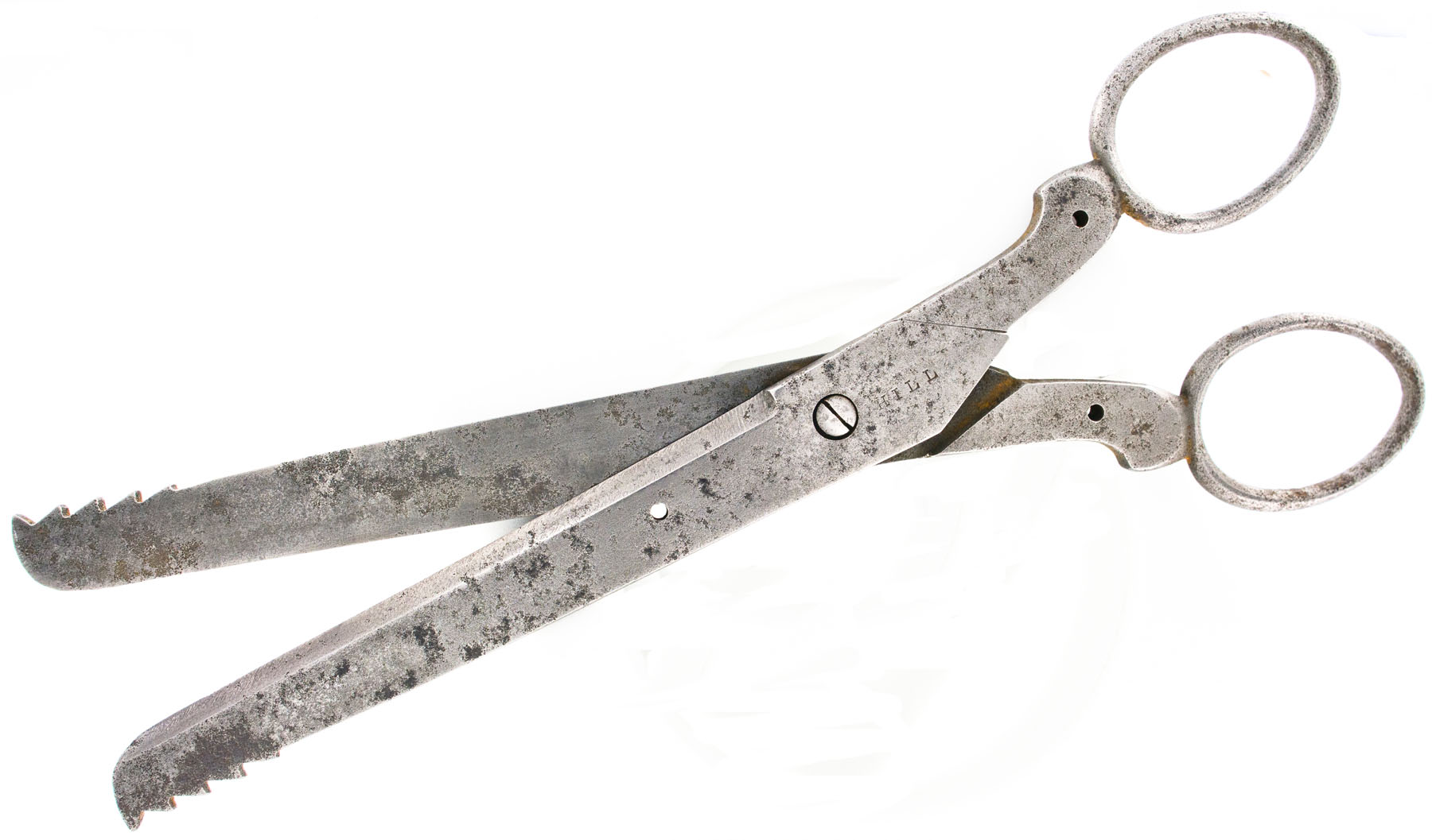 Magnified image for image #2