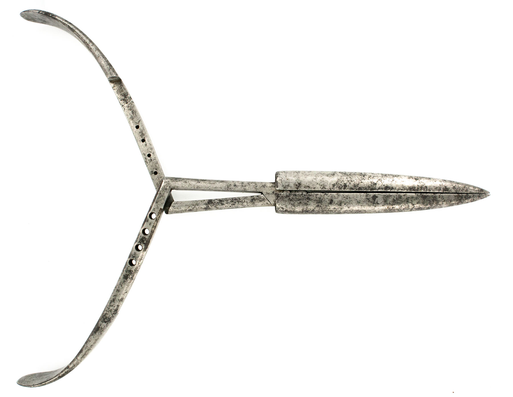 Magnified image for image #4