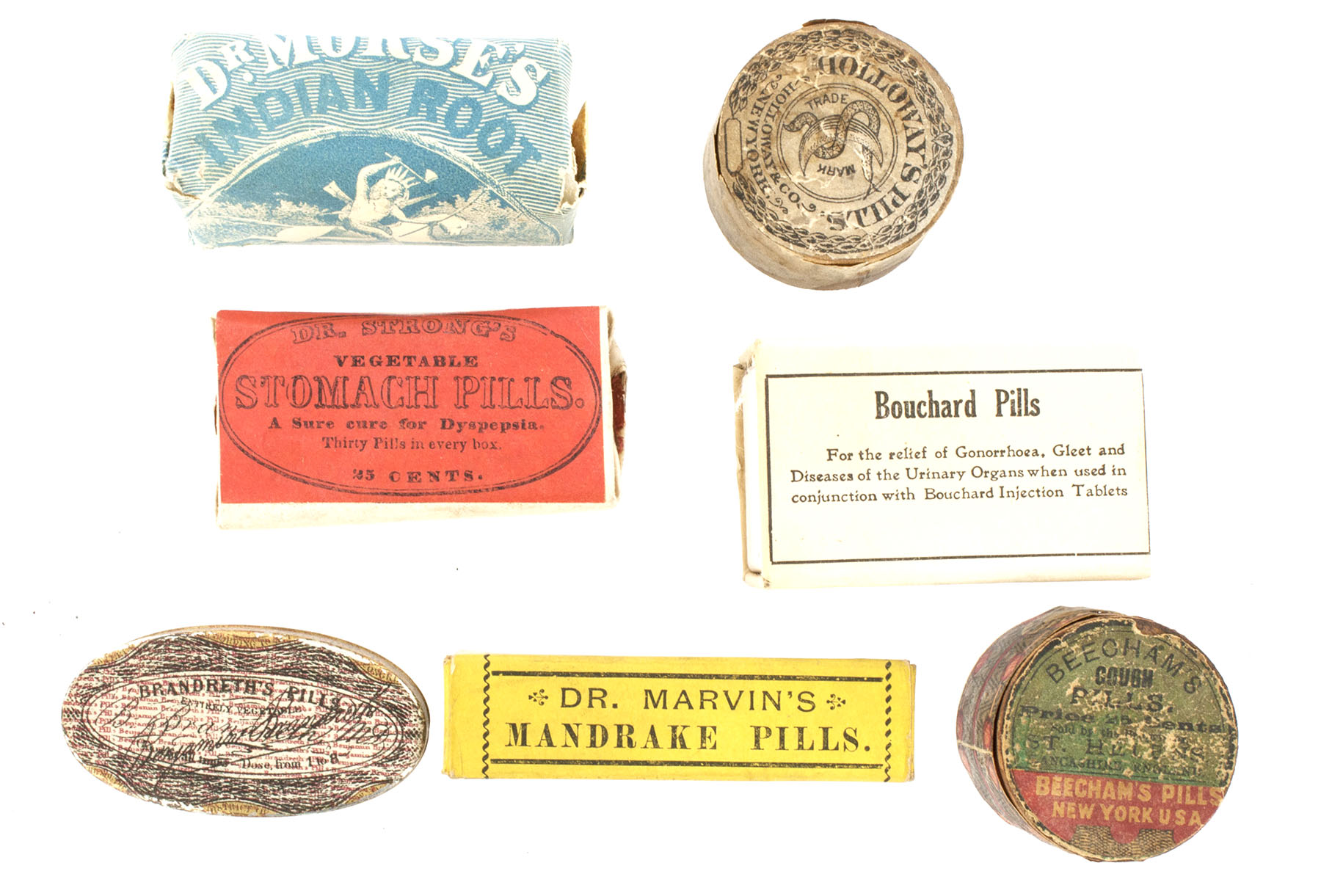 Magnified image for image #1