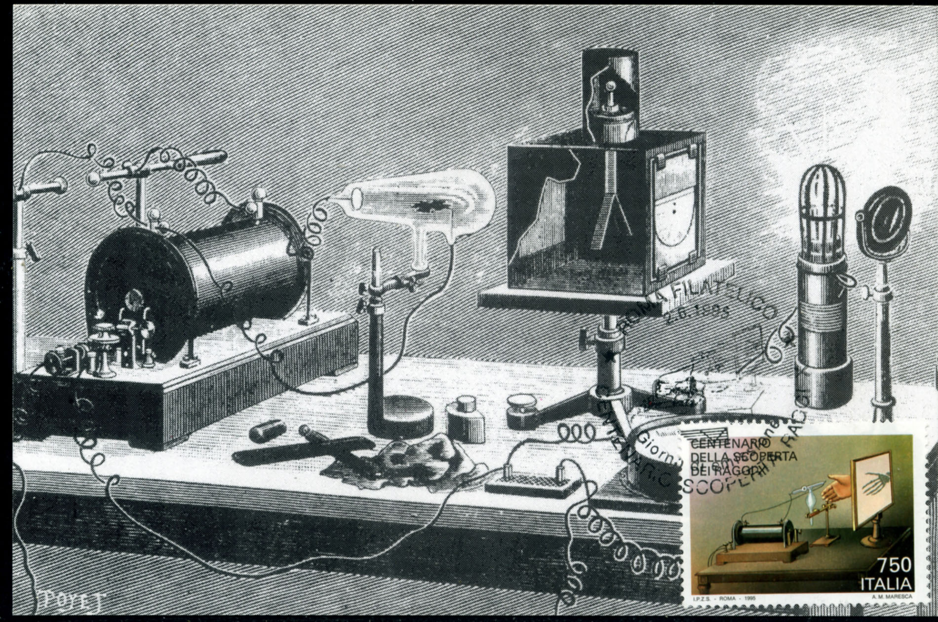 Magnified image for image #6