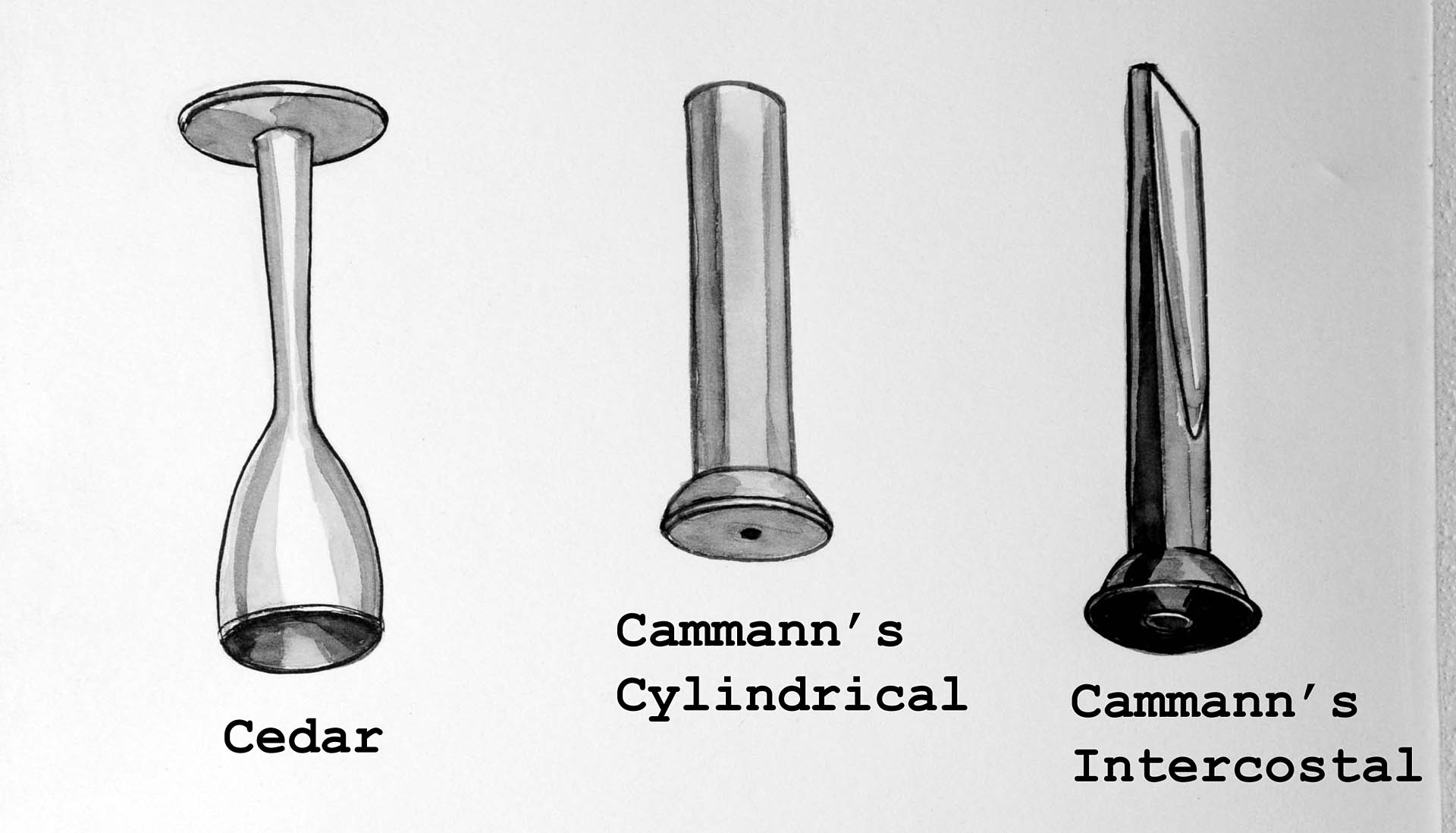 Magnified image for image #1