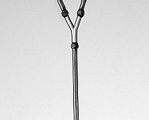 Photo of Bowle’s (stethoscope_drawing___mumie_010jpg)