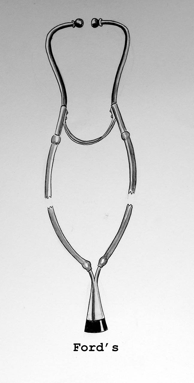 Magnified image for image #1