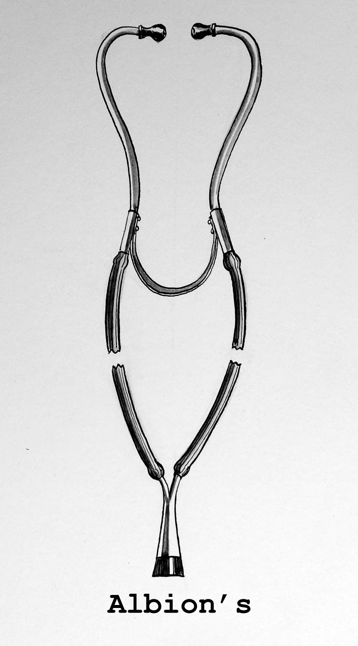 Magnified image for image #1